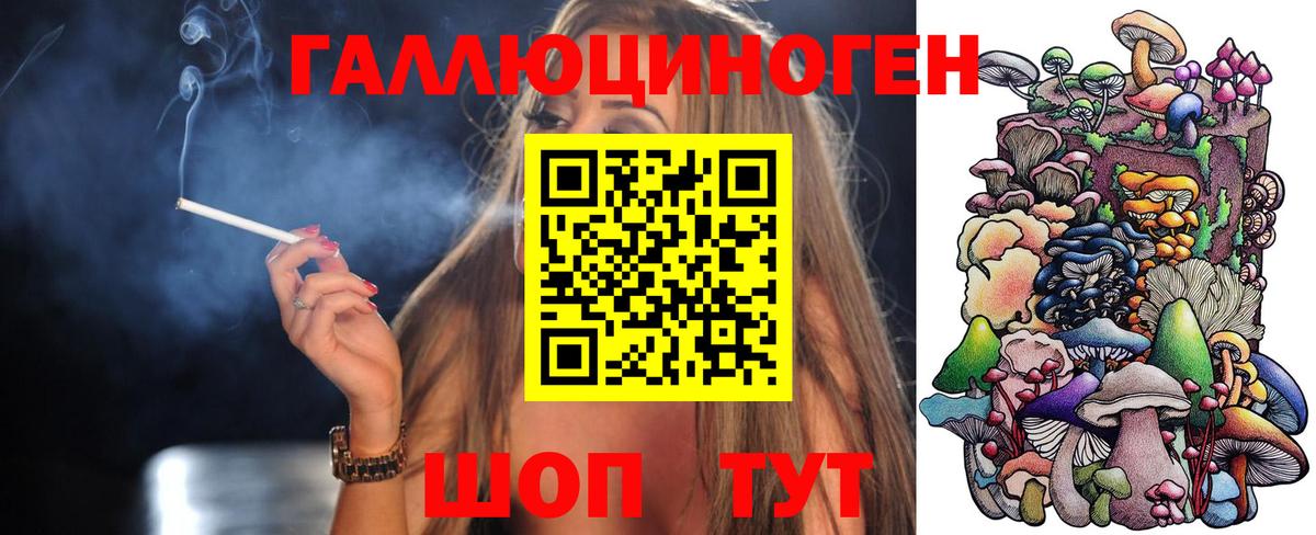 Псилоцибиновые грибы GOLDEN TEACHER  Вход с VPN  Новокубанск 