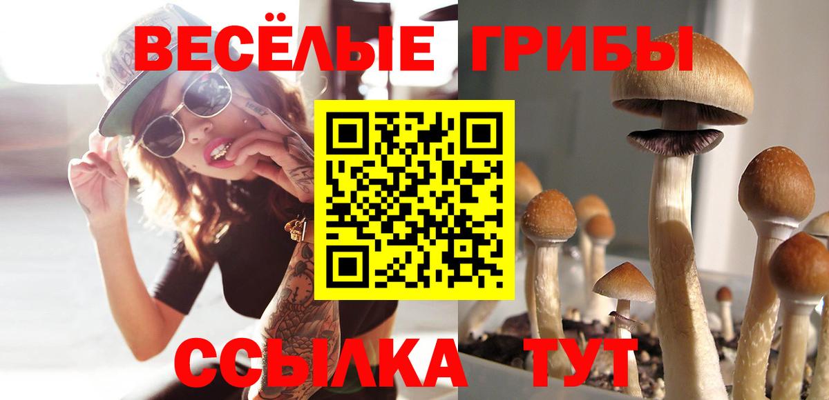 Псилоцибиновые грибы MAGIC MUSHROOMS Новокубанск